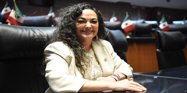 Senado nombra a Olga Sosa Ruiz, presidenta de la Comisión de Agricultura
