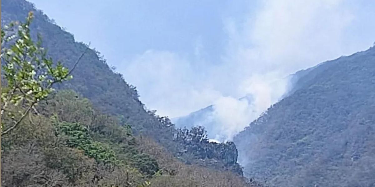 Surge el incendio forestal trece, ahora en Jaumave