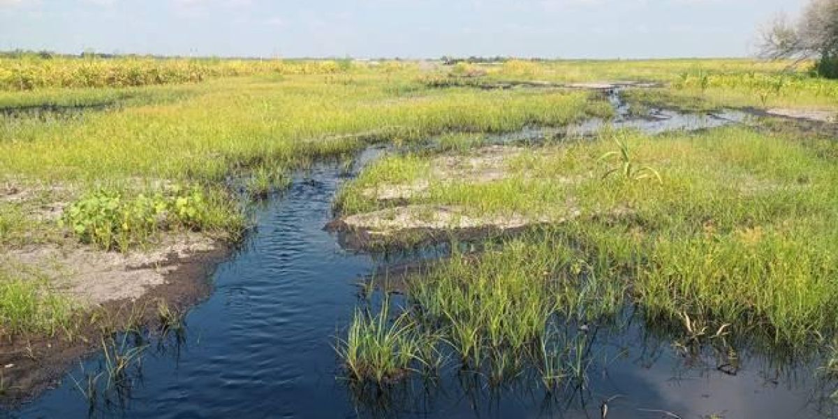 Tragedia ambiental: Derrame de Pemex daña área agrícola