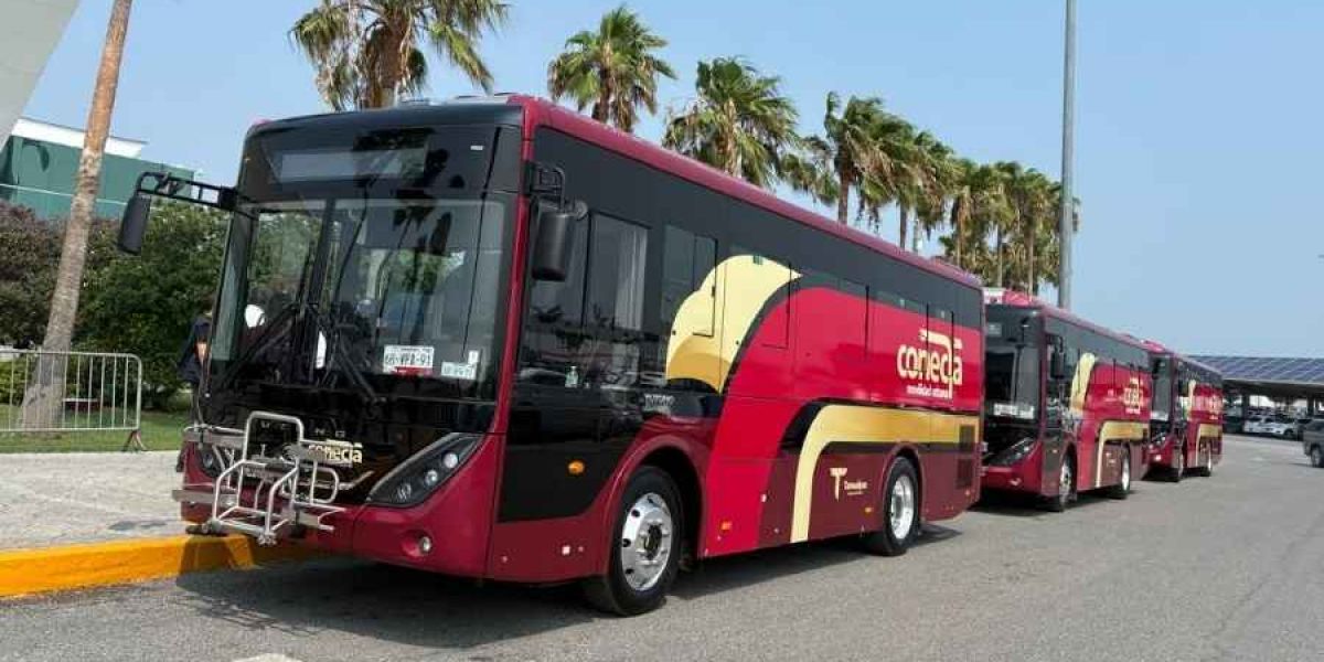 Ruta Conecta supera 3 mil usuarios diarios; analizan ampliar servicio